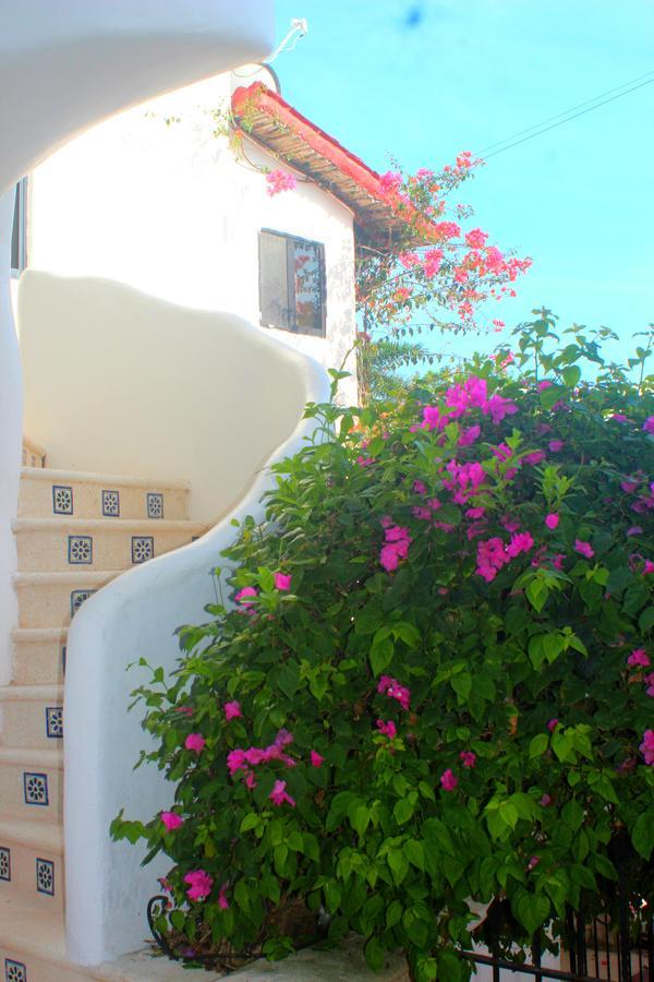 Casa Katarina Hotel Playa del Carmen Eksteriør billede